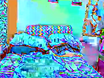 Cutie Annexx live